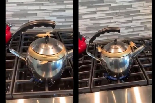 Video grab. 
(Credit: Twitter)
