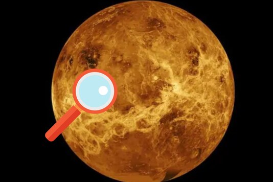 In an undated image from NASA, a global view of the surface of Venus made mostly from data captured by the Magellan spacecraft in 1991. (Credit: NASA)
