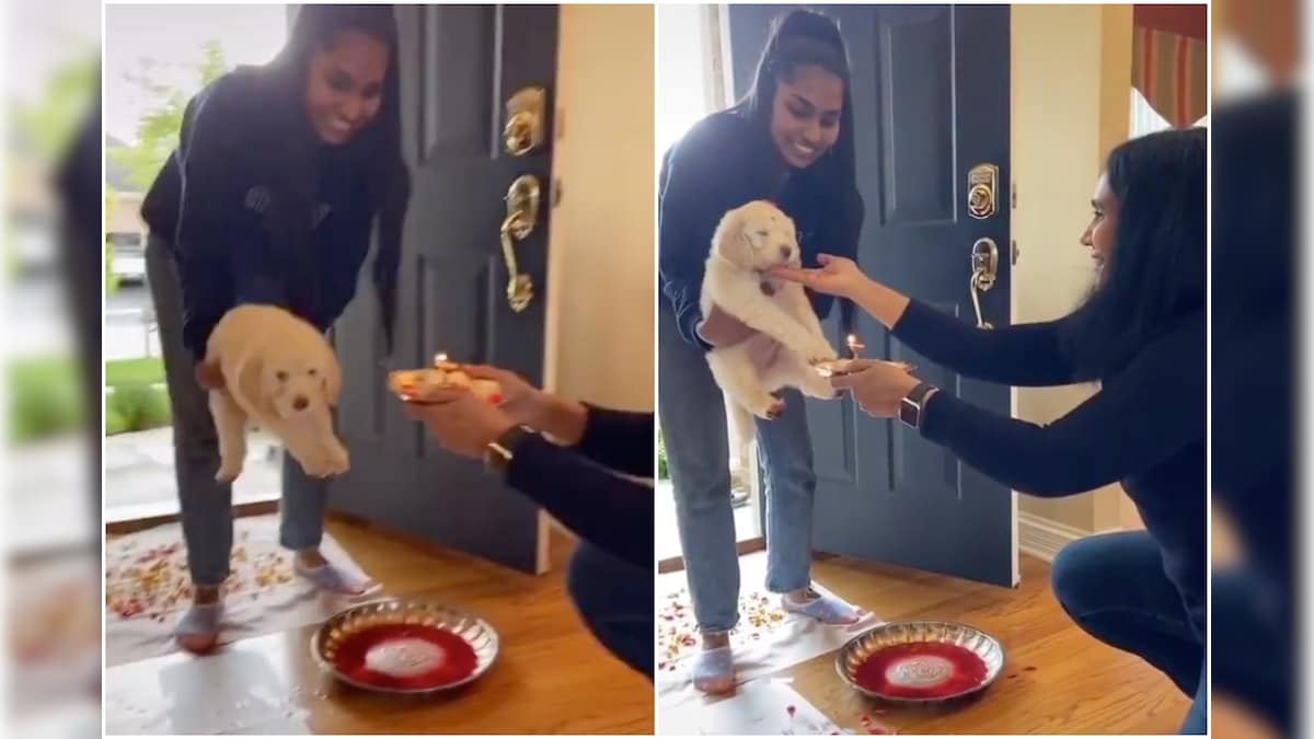 Desi Family Does Aarti of Sanskari Puppy to Mark its First Steps into New Home in Viral Video