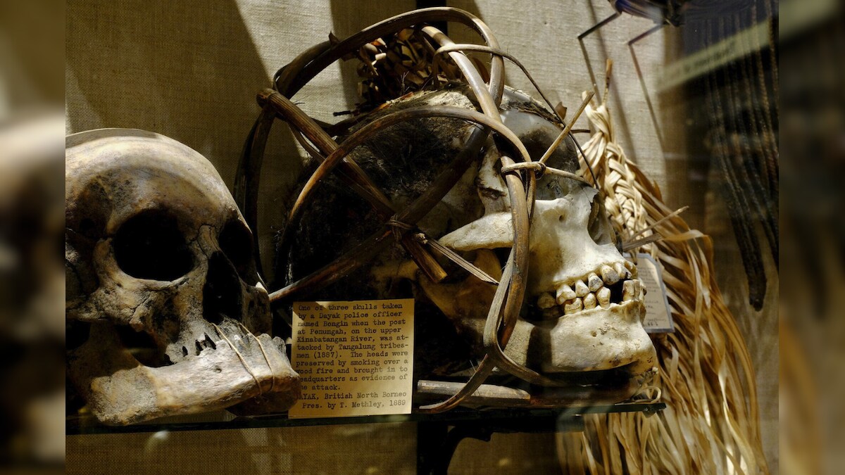 'Enforced Racist Stereotypes': Shrunken Heads, Mummies Will Now Be Removed from UK Museums