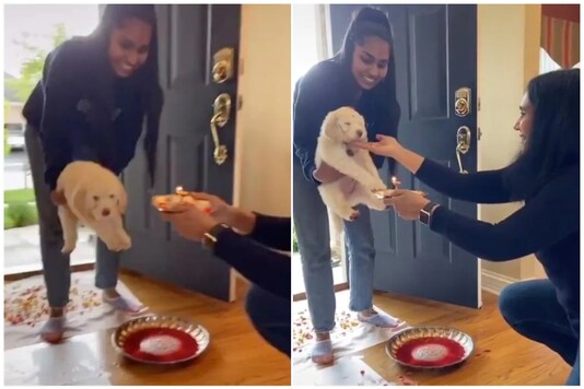 A viral video of a little puppy being welcomed into a Desi home has triggered a conversation about caste | Image creditL Twitter 