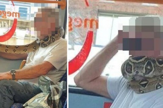 Man uses Python as face mask in Manchester.
(Credit: Twitter)