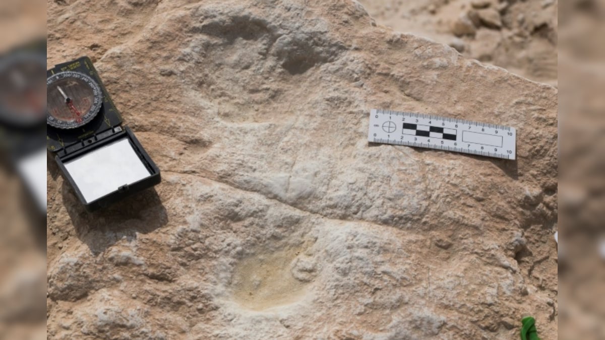 Big Feat: Footprints of Modern Human Dating Back 1,20,000 Years Found in Saudi Arabia