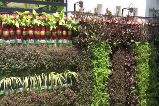 Jammu Teacher Creates Vertical Gardens Using Plastic Bottles to Make Earth a Better Place