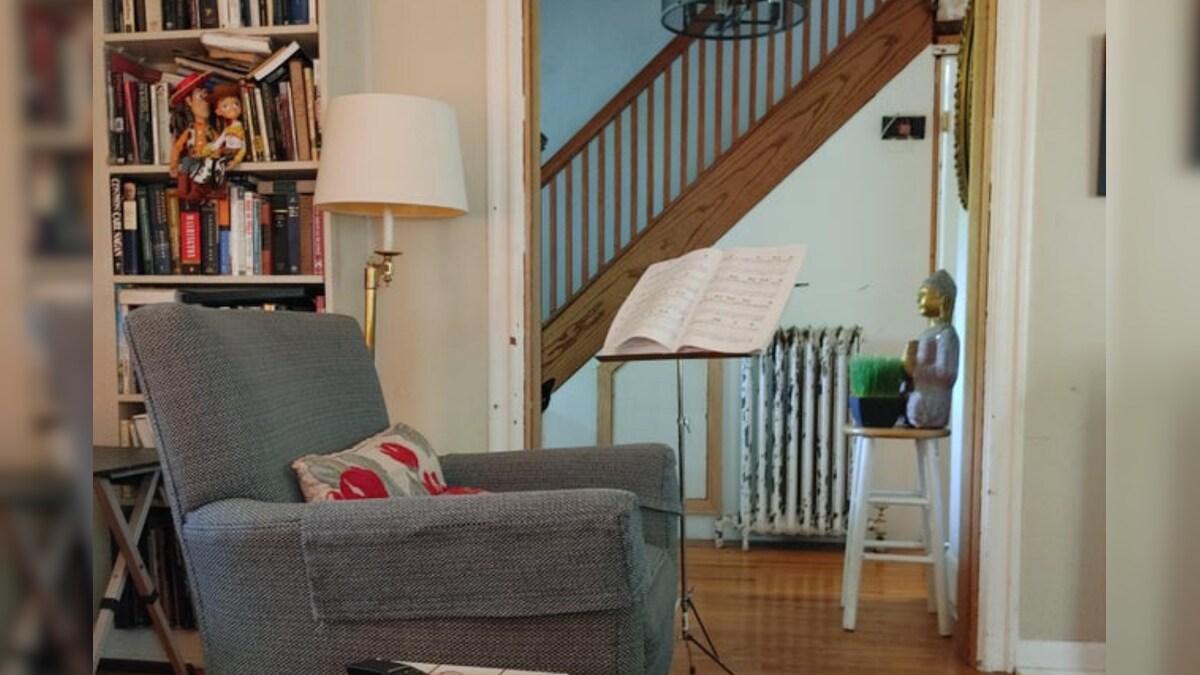 Can You Spot the Cat Hiding in Plain Sight in This Viral Photo on Reddit?