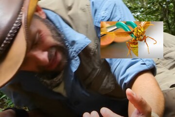 Coyote Peterson - BREAKING NEWS: Leaking pics here before