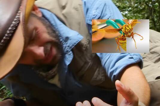 Nathaniel Peterson.  Brave Wilderness / YouTube. 