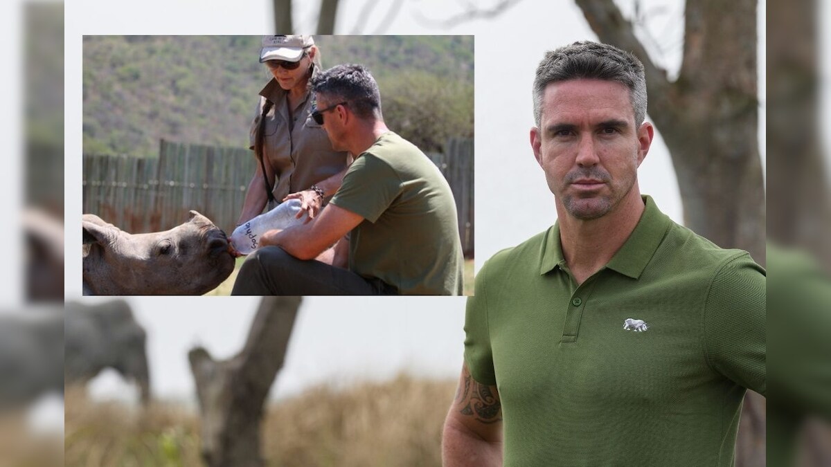 Kevin Pietersen Interview: Assam is Global Leader in Protecting Rhinos Because They Care For Animals