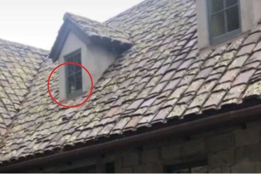 Screenshot of video posted by The Mirror, Originally credited to TikTok: @rebabeba.