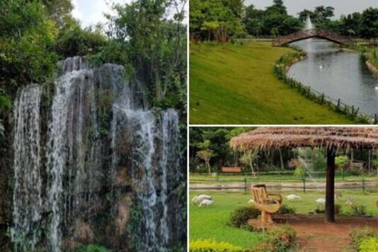 Odisha's urban forest. Odisha's urban forest.