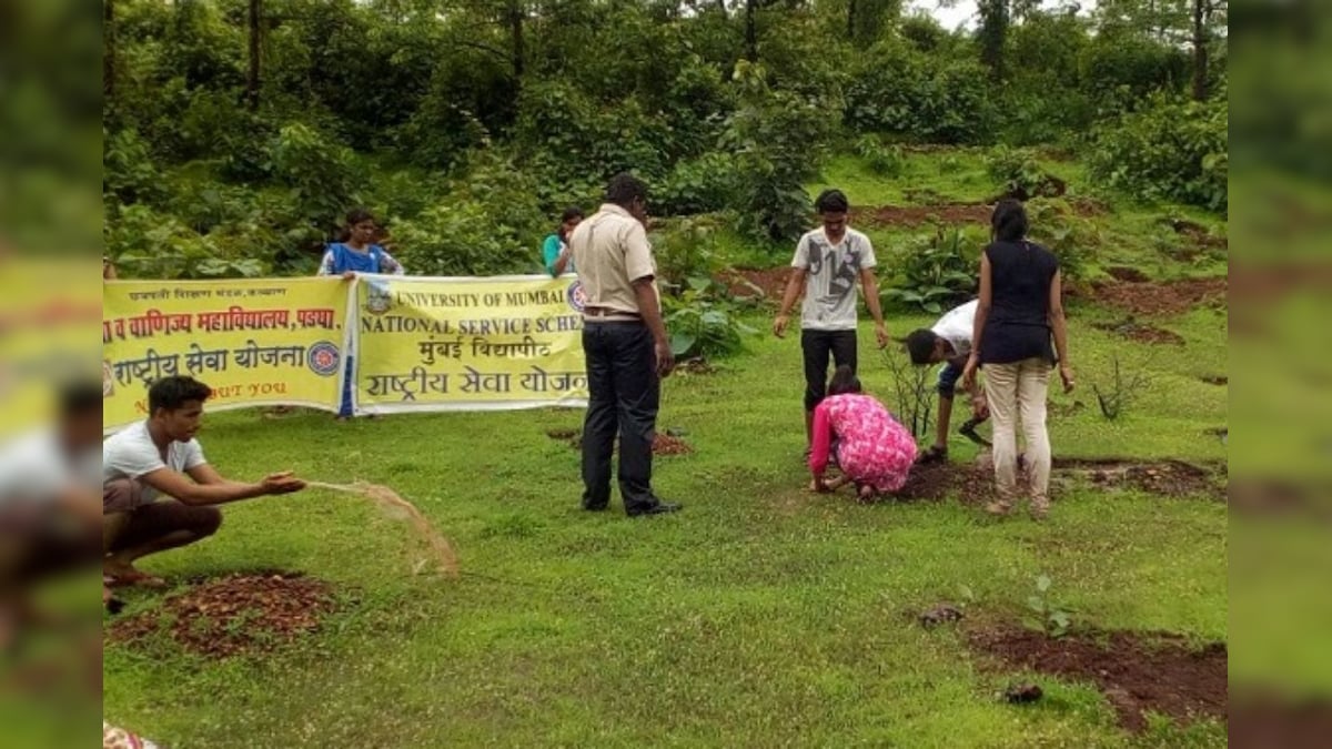 National Service Scheme: Learn the History and Role of NSS Volunteers ...