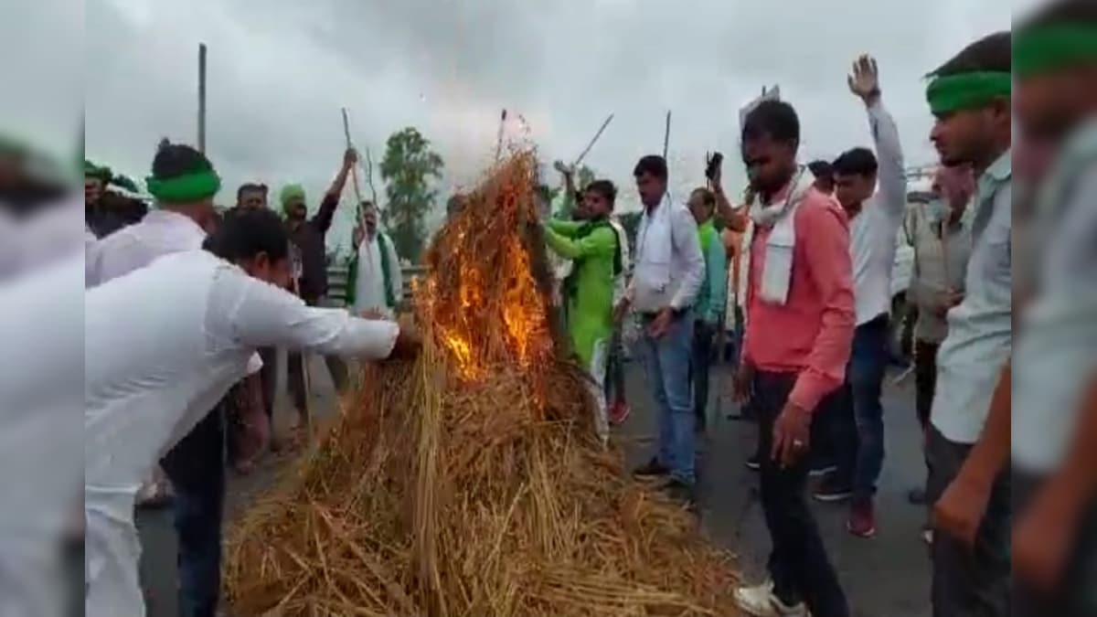 Cutting Across Party Lines, Farmers in Punjab & Haryana Protest against Farm Bills