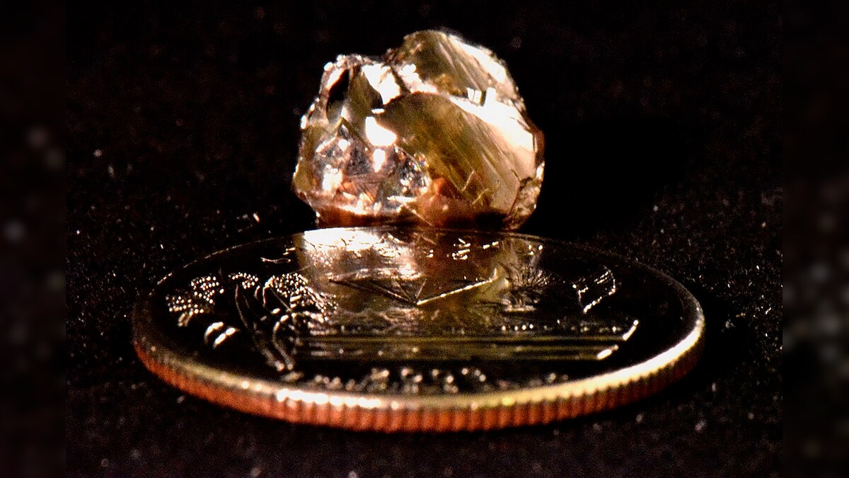 Bank Manager Picks up 'Shiny Object' in US Park, Turns Out to be a 9-carat Diamond