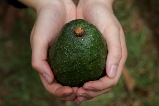 Avocados in Mars? Image for representation. 