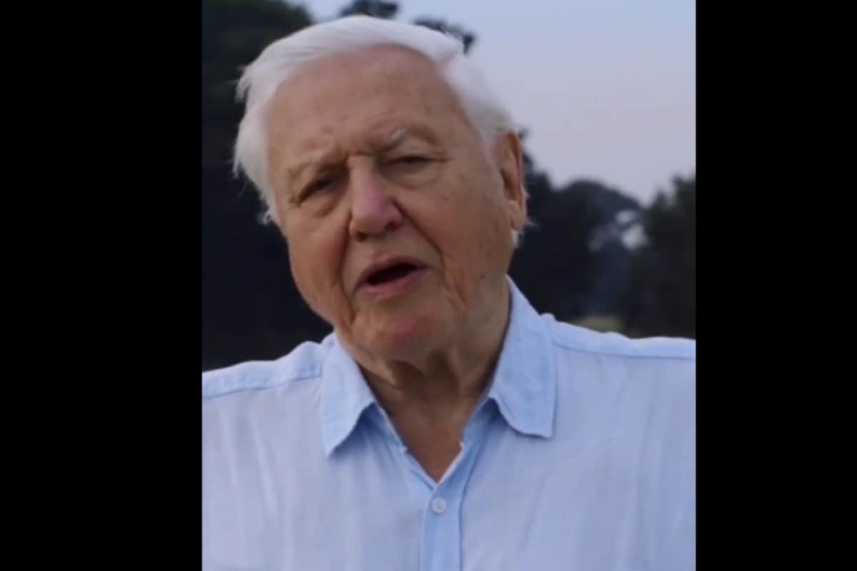 Sir David Attenborough Becomes Fastest Person to Have 1 Million Follow Instagram in Just 4 Hours