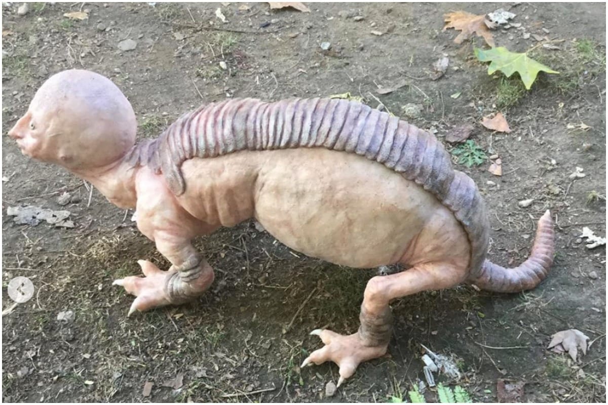 Viral Mystery 'Creature' Turns Out to be Silicone Artwork by  Hyper-surrealist Sculptor