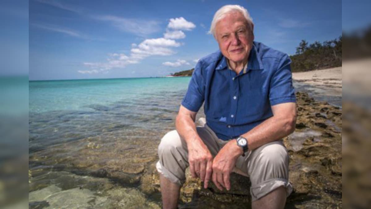 'Don't Waste': David Attenborough Urges the World to Take Responsibility for Climate Change