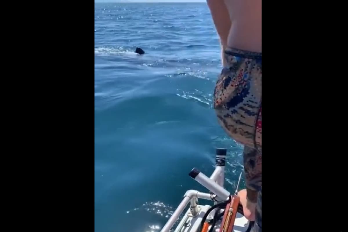 sea swimming watch