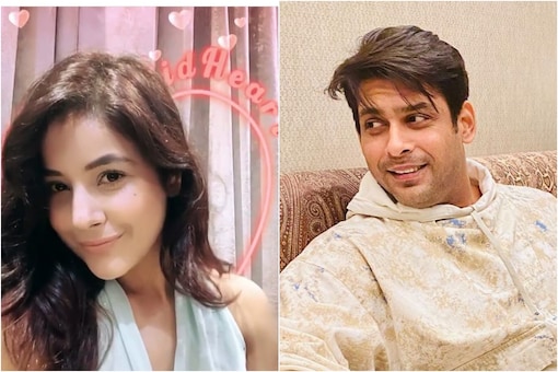 1 Year of SidNaaz: Shehnaaz Gill Uses Sidharth Shukla's Instagram Filter, Actor Drops 'Sweet' Comment