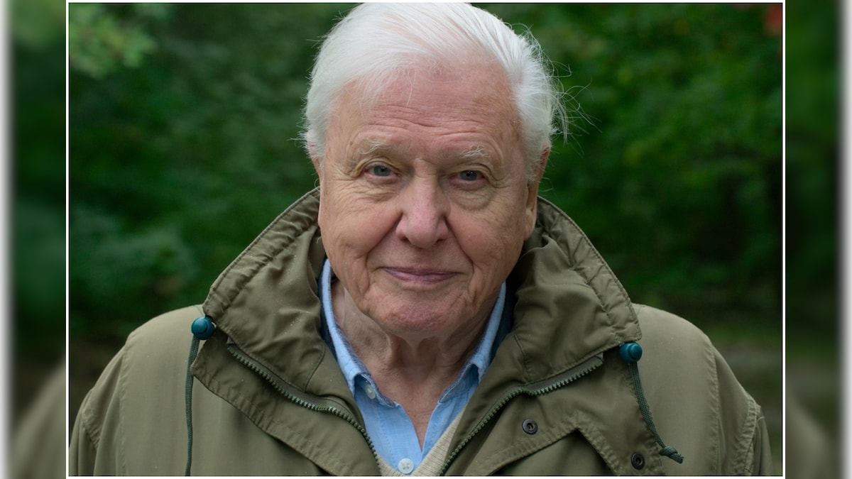 David Attenborough Leads Call For World To Invest 500 Billion A Year