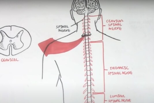 Screenshot from a video uploaded by Armando Hasudungan on YouTube. 