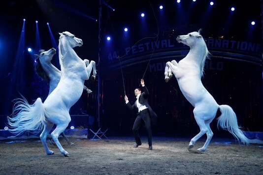 File photo of the 44th Monte-Carlo International Circus Festival. (Image for representation/REUTERS)