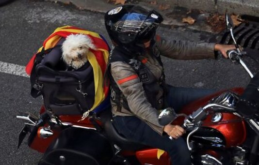 SPAIN-POLITICS-CATALONIA:Catalans rally for independence despite health warnings