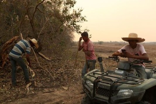 CLIMATE-CHANGE-BRAZIL-PANTANAL-INSIGHT:Burned jaguars, fire tornadoes: Blazes in Brazil wetland deliver climate warning