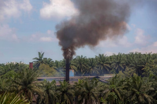 Smoke rises from a processing mill at a palm oil plantation in Sumatra, Indonesia, Saturday, Sept. 8, 2018. Though labor issues have largely been ignored, the punishing effects of palm oil on the environment have been decried for years. (AP Photo) Smoke rises from a processing mill at a palm oil plantation in Sumatra, Indonesia, Saturday, Sept. 8, 2018. Though labor issues have largely been ignored, the punishing effects of palm oil on the environment have been decried for years. (AP Photo)