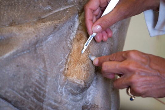 A restorer works on one of Michelangelo's Pieta sculpture in Florence, Italy, Tuesday, Sept. 8, 2020. A restoration of one of Michelangelos Pieta sculptures has uncovered previously unknown details, including the artists tool marks, that had been hidden under centuries of dust and wax. Florences Museo dellOpera del Duomo said Wednesday, Sept. 16, 2020 that the cleaning of the Bandini Pieta, which began last year but was suspended because of the coronavirus pandemic, had resumed and that the public was now invited to watch restorers at work. Michelangelo carved the Bandini Pieta between 1547-1555, when he was nearly 80. (Claudio Giovannini/Opera di Santa Maria del Fiore via AP)