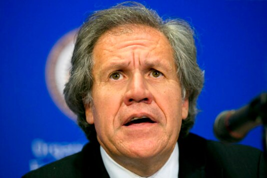 OAS Chief Under Fire For Removal Of Top Rights Official
