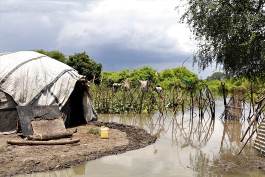 Flooding surrounds a house in Lenyari in the Greater Pibor Administrative Area, South Sudan Thursday, Sept. 10, 2020. Flooding has affected well over a million people across East Africa, another calamity threatening food security on top of a historic locust outbreak and the coronavirus pandemic. (Tetiana Gaviuk/Medecins Sans Frontieres via AP) Flooding surrounds a house in Lenyari in the Greater Pibor Administrative Area, South Sudan Thursday, Sept. 10, 2020. Flooding has affected well over a million people across East Africa, another calamity threatening food security on top of a historic locust outbreak and the coronavirus pandemic. (Tetiana Gaviuk/Medecins Sans Frontieres via AP)