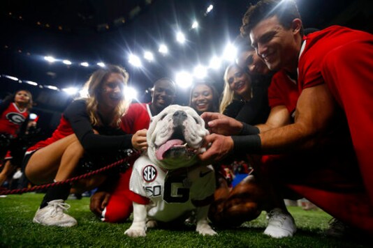 Georgia cheerleaders pose with the school mascot 