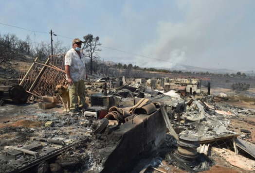 Frank Kenton with his dog Clyde looks over the remains of buildings that burnt during the Bobcat Fire last night in Juniper Hills, Calif., Saturday, Sept. 19, 2020. Kenton has lived on his 10 acres for 17 years.  (Keith Birmingham/The Orange County Register via AP)