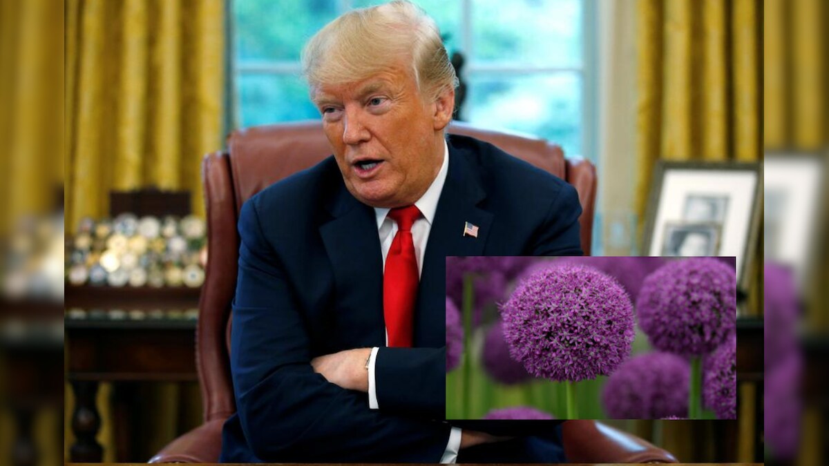 The Climate Crisis is Changing the Colour of Flowers but Donald Trump Still Doesn't Believe it