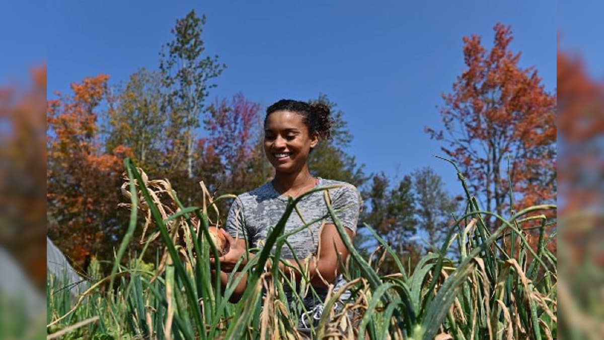 Black Farmers in US Waging Battle Against Racism, Inequality and Prejudices Amid Protests