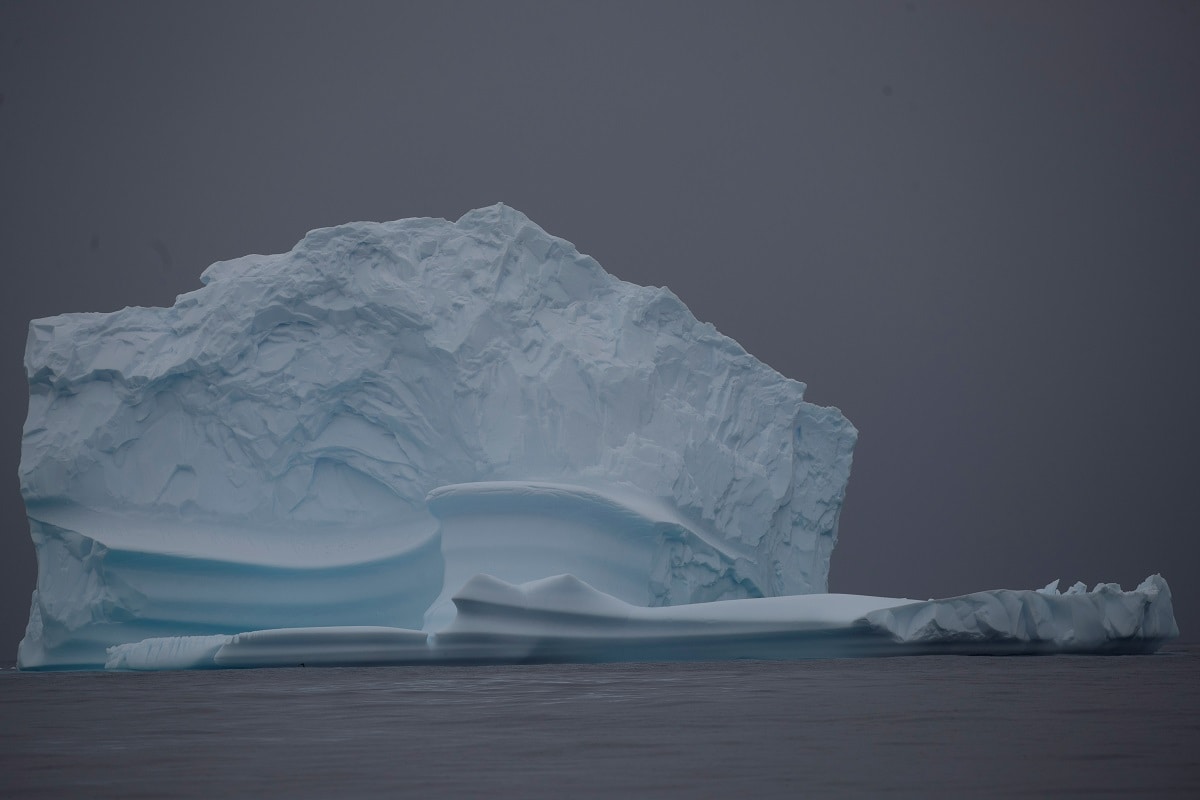 Giant Iceberg the Size of a US State Headed for British Island in Atlantic Ocean, Wildlife at Risk