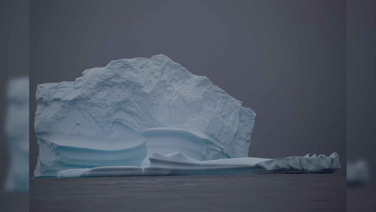 Giant Iceberg the Size of a US State Headed for British Island in Atlantic Ocean, Wildlife at Risk