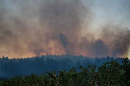 Image credits: Reuters.