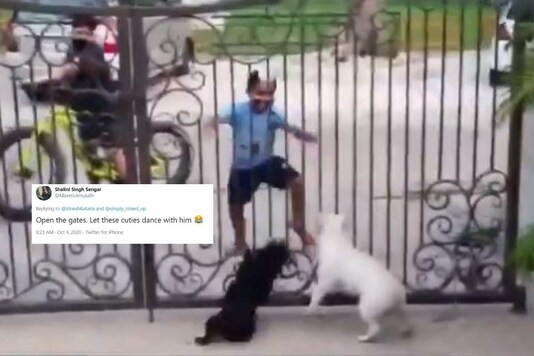 Video grab.
(Credit: Twitter/ 
@VineshKataria)
