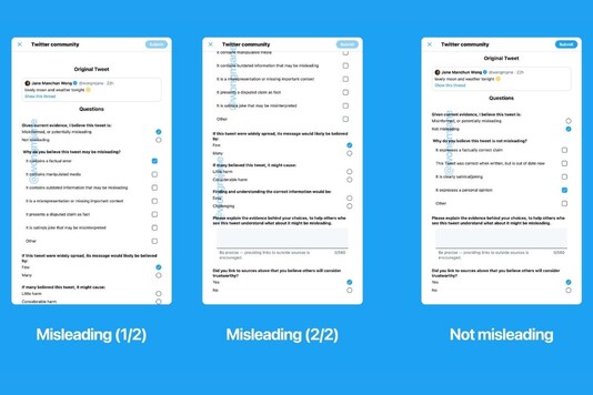 The new Birdwatch feature also asks for a questionnaire to be filled. (Image Credit: Twitter/@wongmjane)