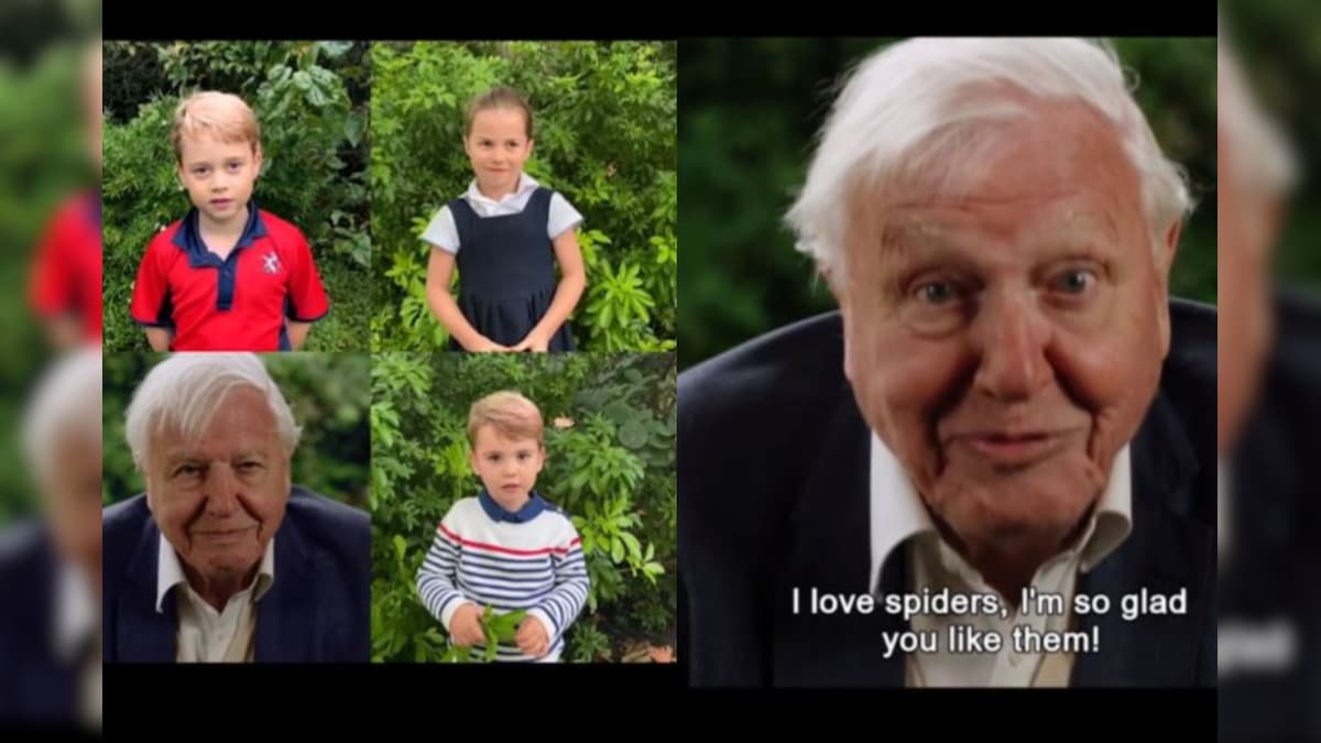 'Spiders Are Wonderful!': David Attenborough's Quiz Session with UK Royal Children Goes Viral