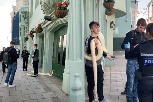 Screenshot from video uploaded by Caters Clips / YouTube. Screenshot from video uploaded by Caters Clips / YouTube.
