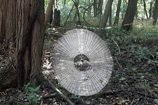 Spiderwebs. 
(Credit: Missouri Dept. of Conservation/ Facebook)