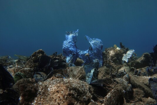 A plastic bag is seen at the bottom of the sea, off the island of Andros, Greece. (Representational image/REUTERS)