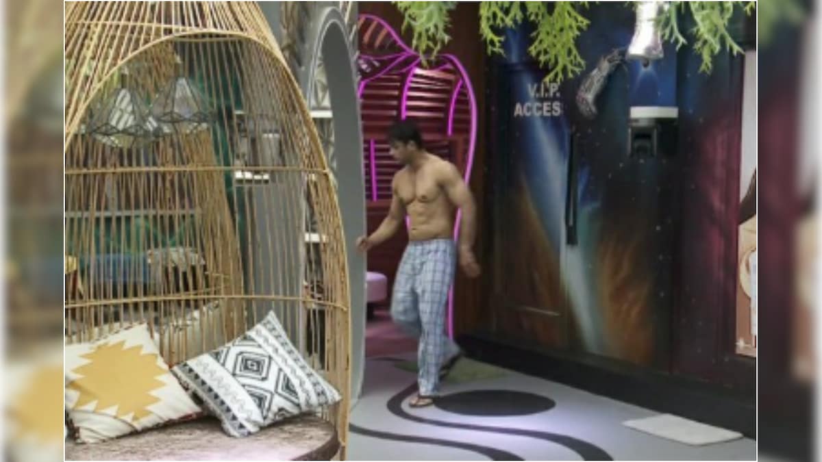 Bigg Boss 14: Sidharth Shukla Serves Ultimate Fitness Goals as He Appears Shirtless on Camera