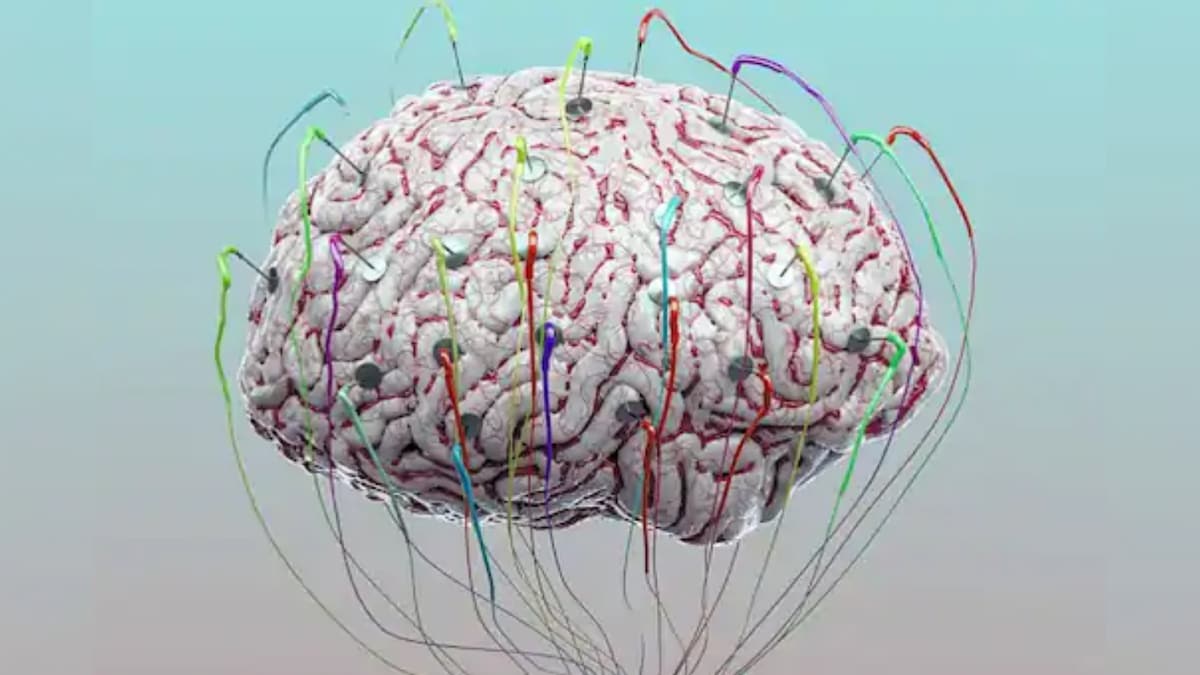 Like GPS? Human Brains Generate a 'Code' to Mark Location of Others