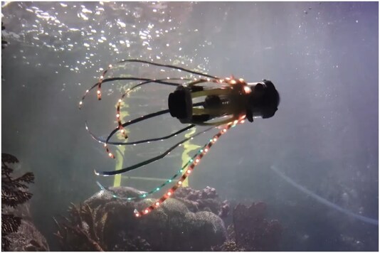 The 'Squidbot' is being hailed as a win for soft robotics | Image credit: Twitter