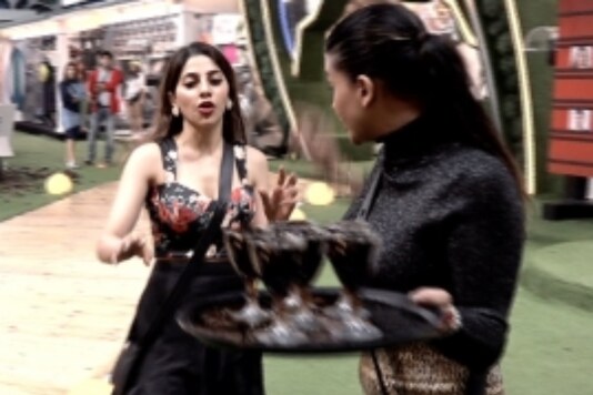 Pavitra Punia, Nikki Tamboli Get into a Catfight During Immunity Task in Bigg Boss 14 Pavitra Punia, Nikki Tamboli Get into a Catfight During Immunity Task in Bigg Boss 14