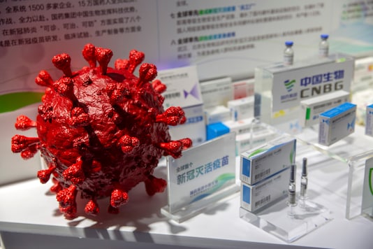 A model of a coronavirus is displayed next to boxes for Covid-19 vaccines at an exhibit by Chinese pharmaceutical firm Sinopharm at the China International Fair for Trade in Services (CIFTIS) in Beijin. (AP Photo/Mark Schiefelbein) 